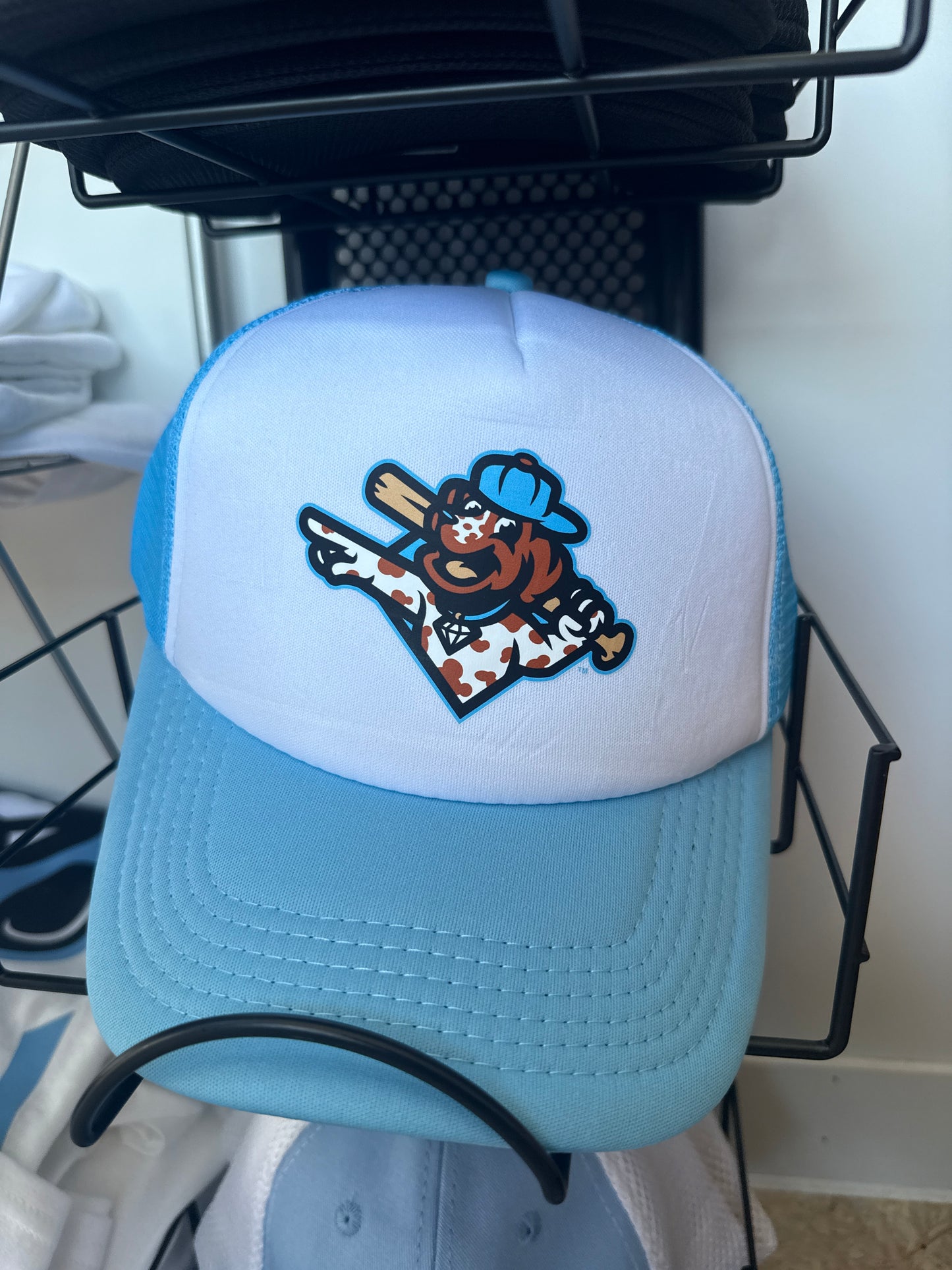 Trucker Hat
